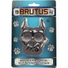 Brutus Self Defense Key Chain Black Color