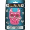 Brutus Self Defense Key Chain Pink Color